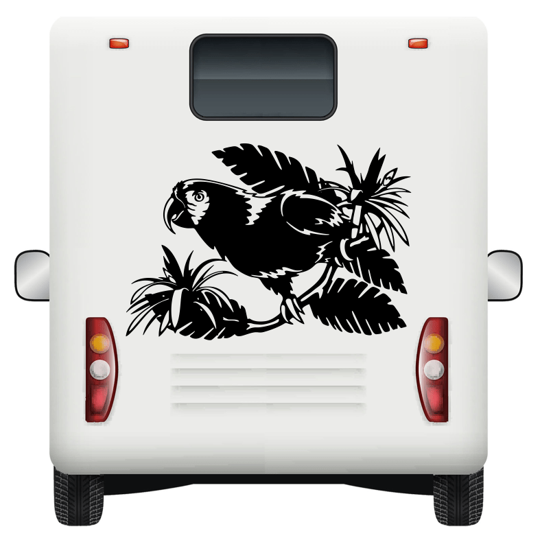 Parrot Wildlife Car Sticker Decal