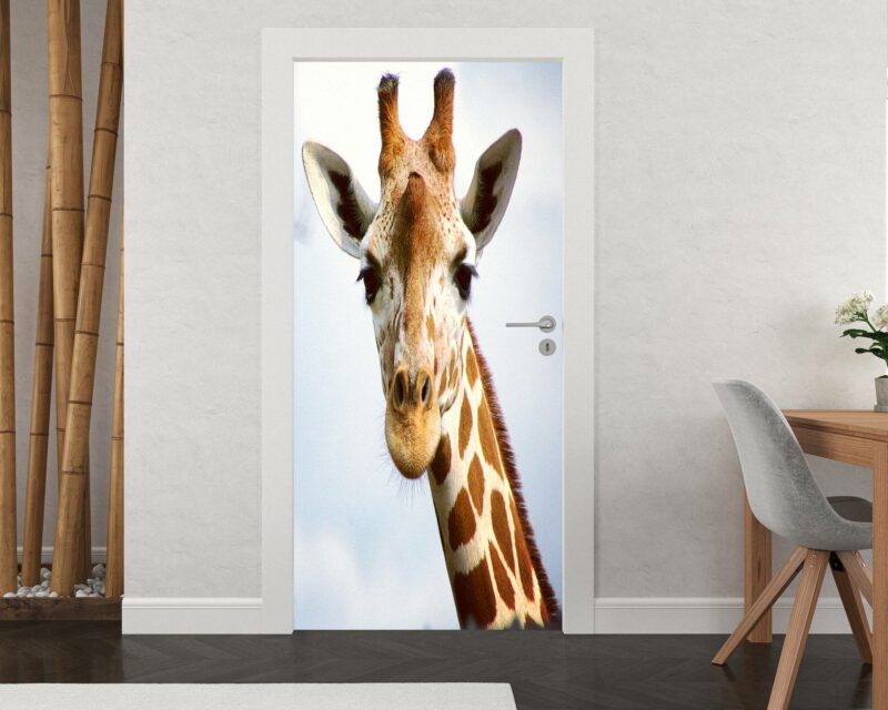 Giraffe Face Door Sticker