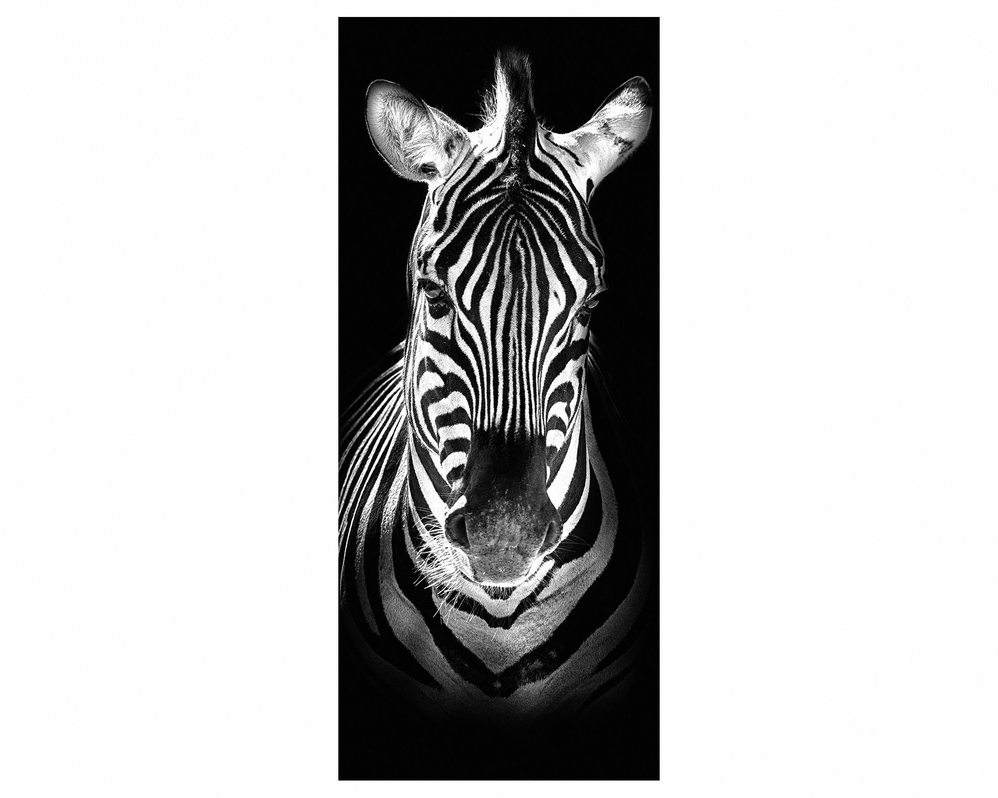 Zebra Face Door Sticker