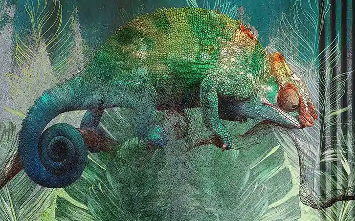 Chameleon Wall Mural Wallpaper