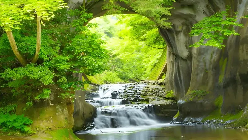 Waterfall and Trees Wall Mural Wallpaper