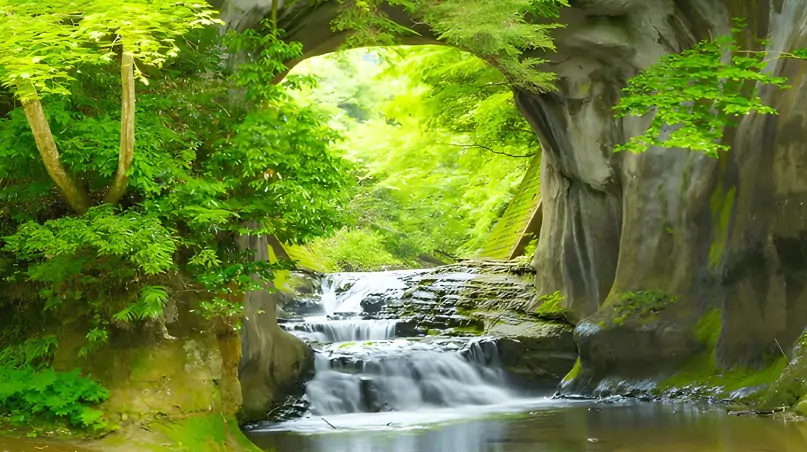 Waterfall and Trees Wall Mural Wallpaper