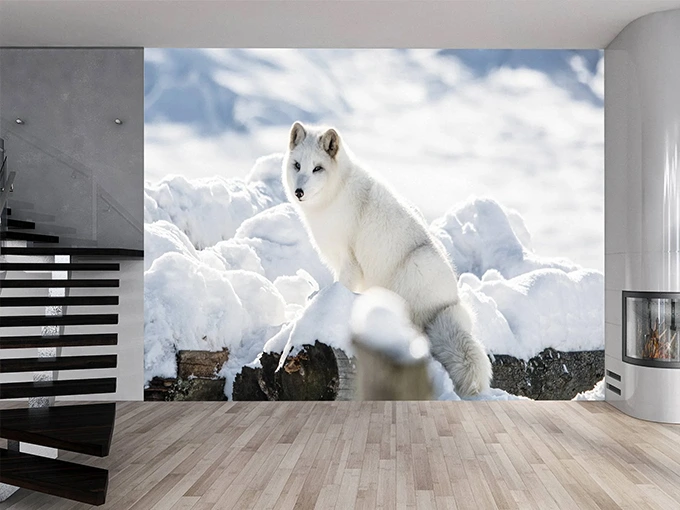 Arctic Fox Wall Mural Wallpaper