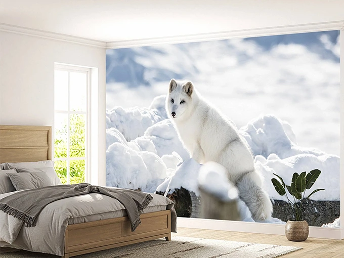 Arctic Fox Wall Mural Wallpaper