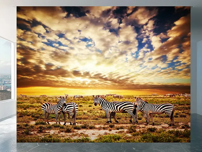 Savanna Zebra Wall Mural Wallpaper