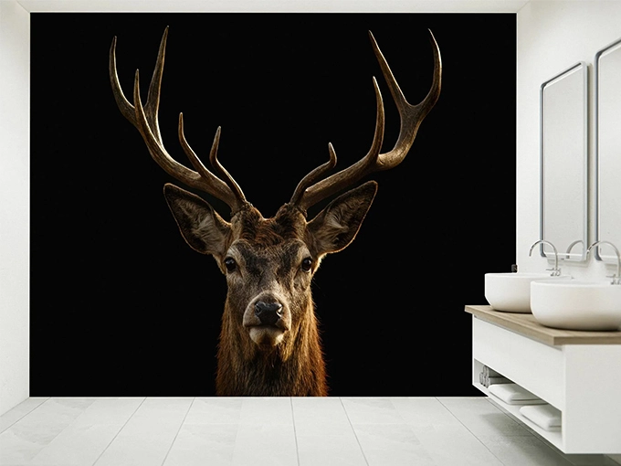 Deer Portrait Wall Mural Wallpaper