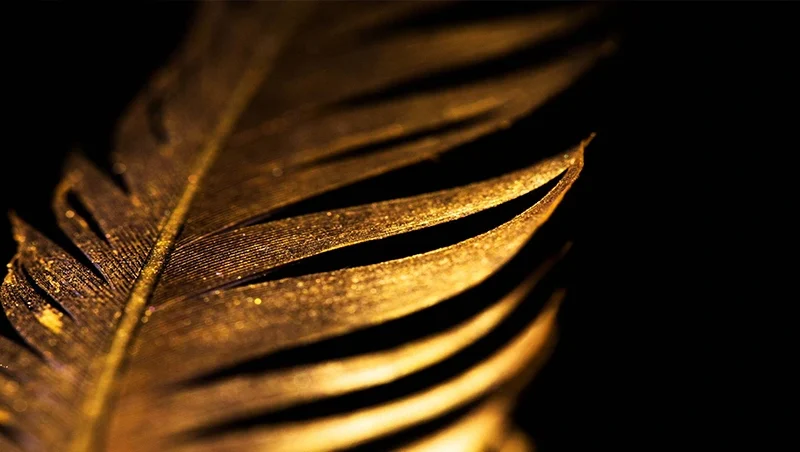 Gold Feather Wall Mural Wallpaper