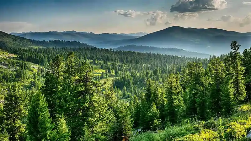 Mountain View Landscape Wall Mural Wallpaper