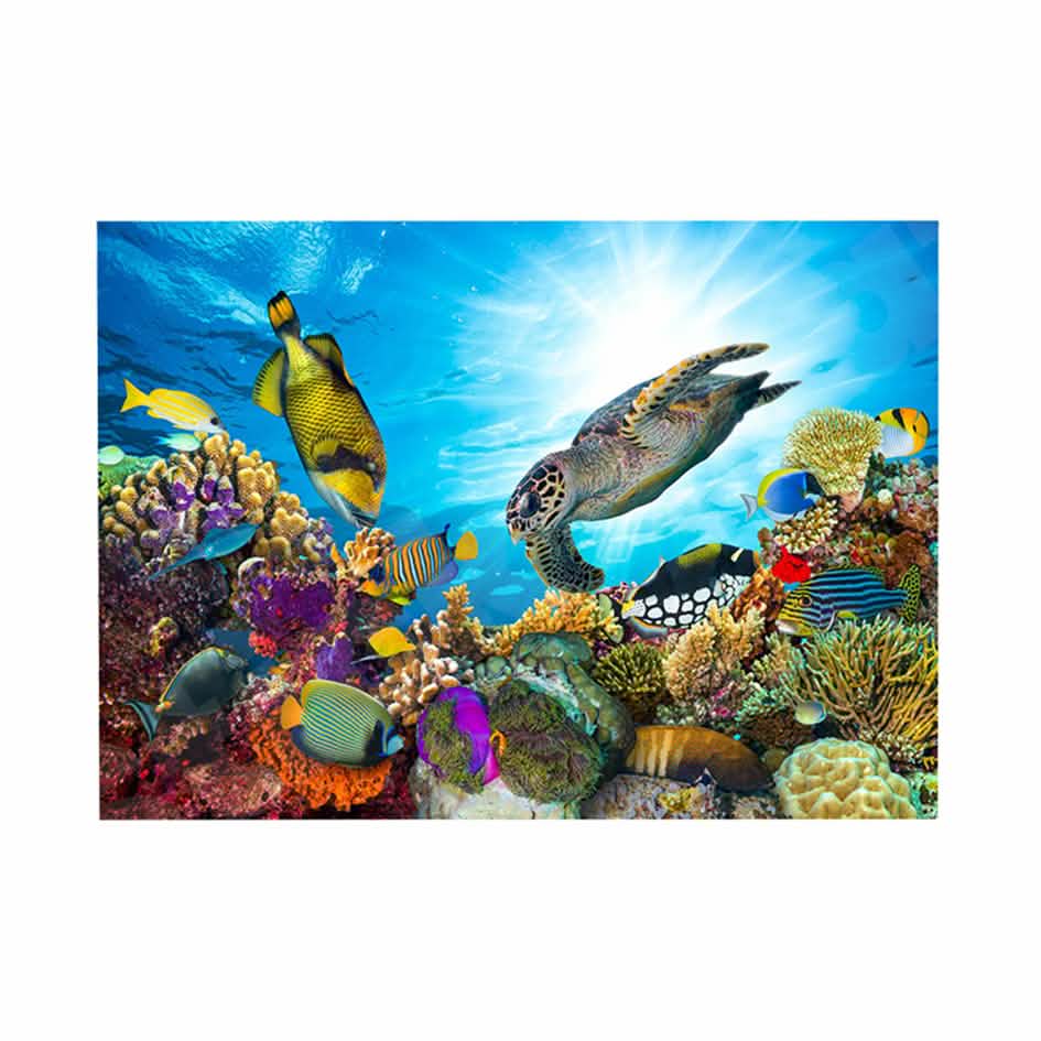 Coral Reef 3D Hole In The Wall Sticker