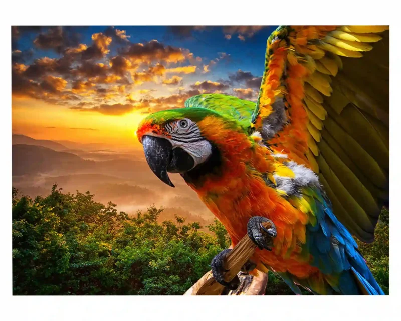 Colorful Parrot 3D Wall Sticker