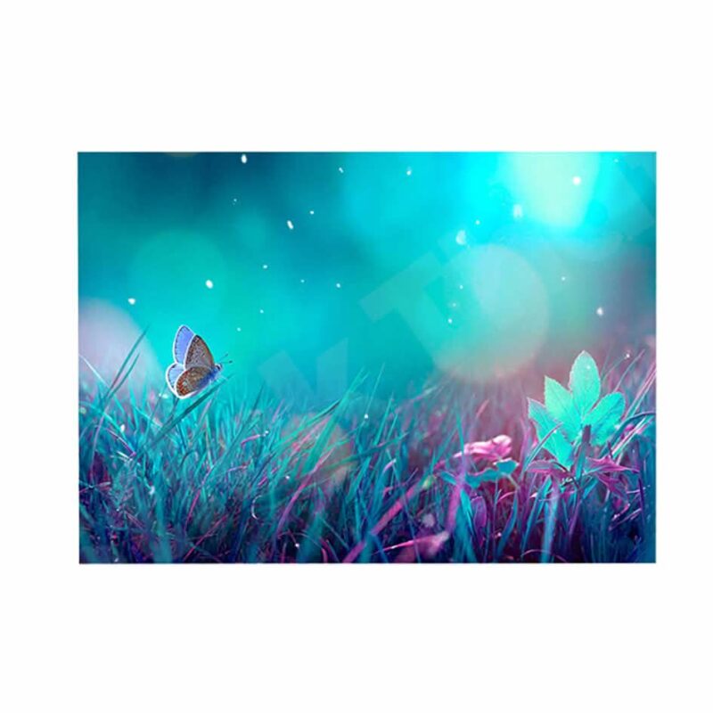 Butterfly 3D Hole In The Wall Sticker