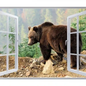 3d-window-effect
